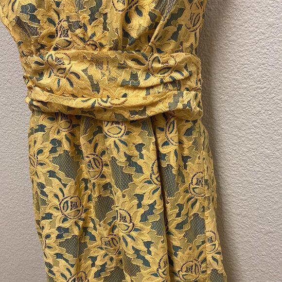 Plenty by Tracy Reese Niki Sleeveless Lace Dress Size 10 - Picture 5 of 6